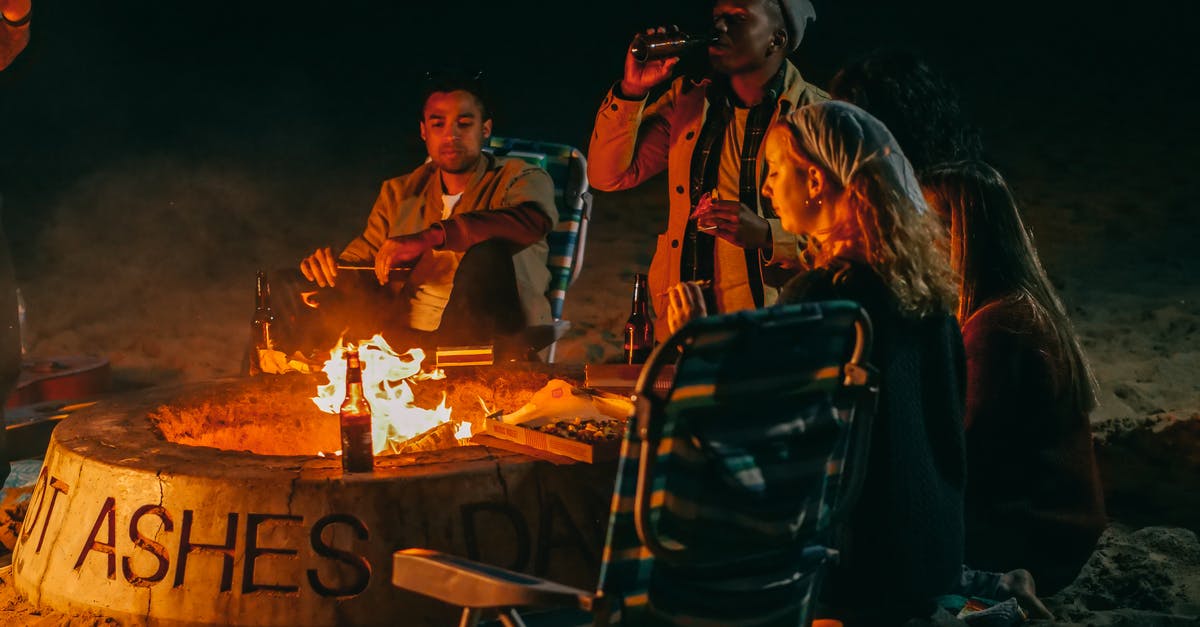 What should be burned to get ashes in Don't Starve? - Group of Friends Eating in Front of Fire Pit