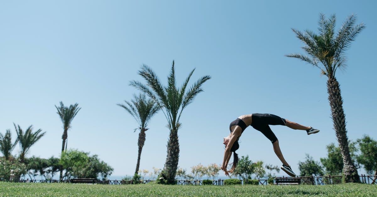 What the requirements for the greyed-out skills/perks? - A Woman Performing a Backflip