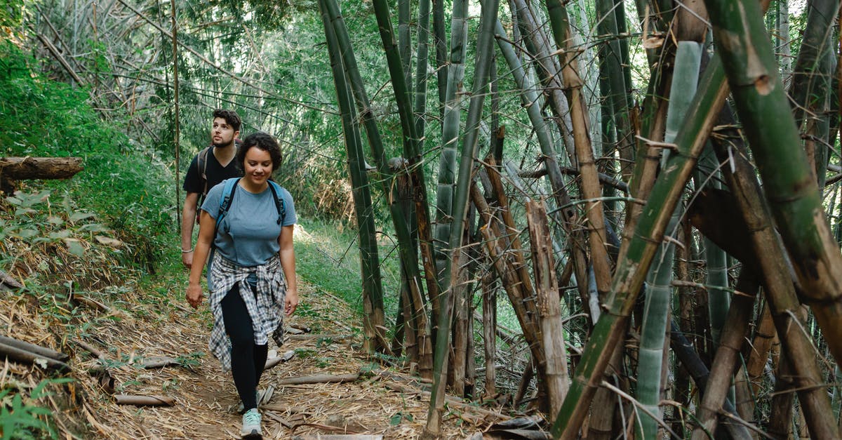 What time do all of the jungle buff camps spawn? - Active young couple strolling in jungle during romantic trip