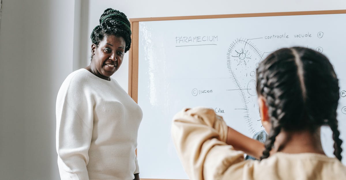 What to answer to obtain each Pokemon? - Attentive African American woman standing near whiteboard while explaining scheme to schoolgirl during lesson