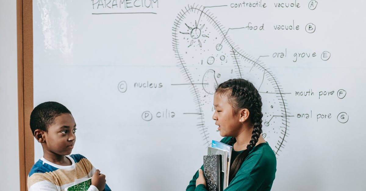 What to answer to obtain each Pokemon? - Side view of smart black little boy and Asian girl standing near whiteboard and answering question together during biology class