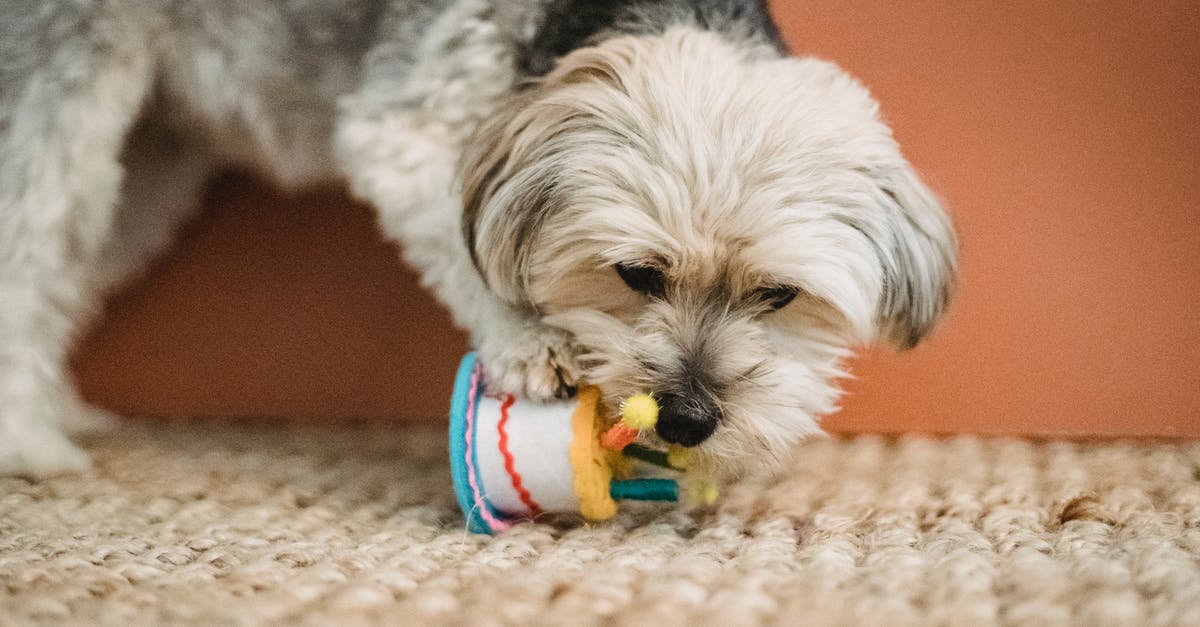 What would happen if a steam gift is decline but the recipient doesn't already own the game? - Curious puppy biting toy for Birthday celebration What would happen if a steam gift is decline but the recipient doesn't already own the game? - Curious puppy biting toy for Birthday celebration