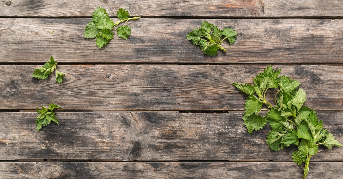 When does the board accept an ultimatum? - Green Leaves on Wooden Board