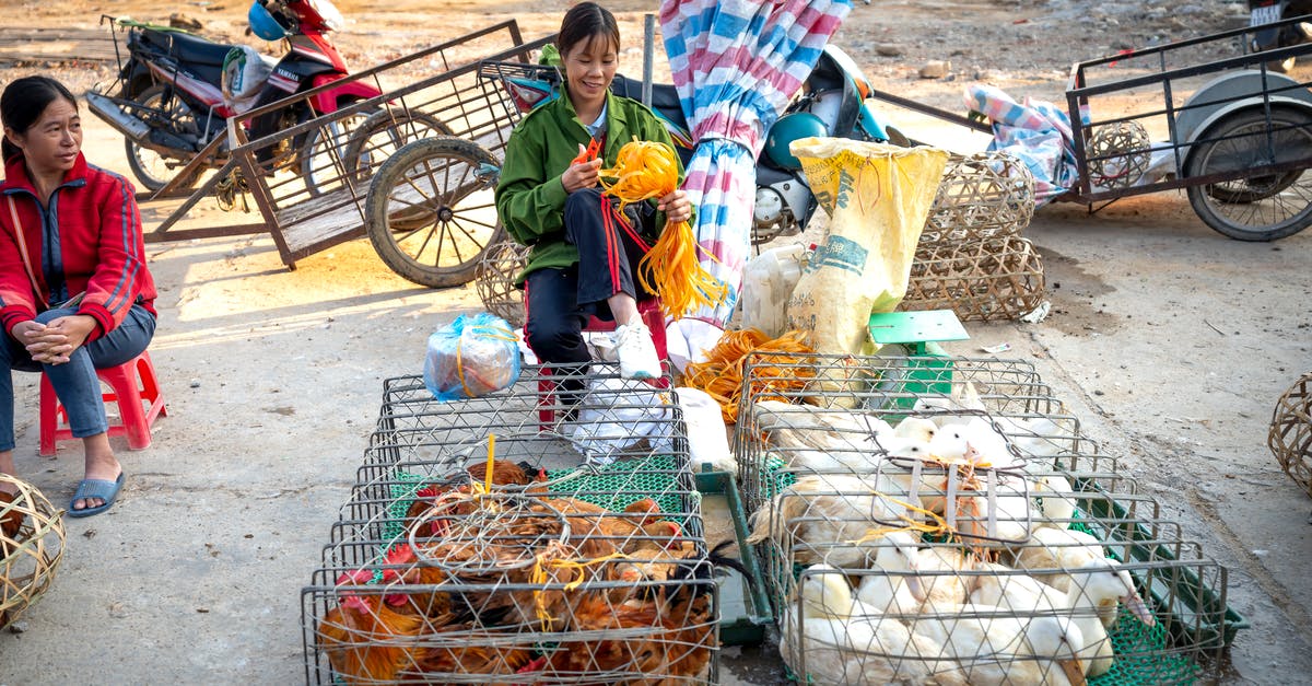 When Summoning Custom Villager, Can you trade enchanted gear? [duplicate] - Asian women working on local market on street