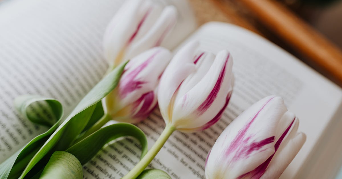 Where are Minecraft: Education Edition files stored? - From above spring tulips arranged together on open book with blurred text in floral shop