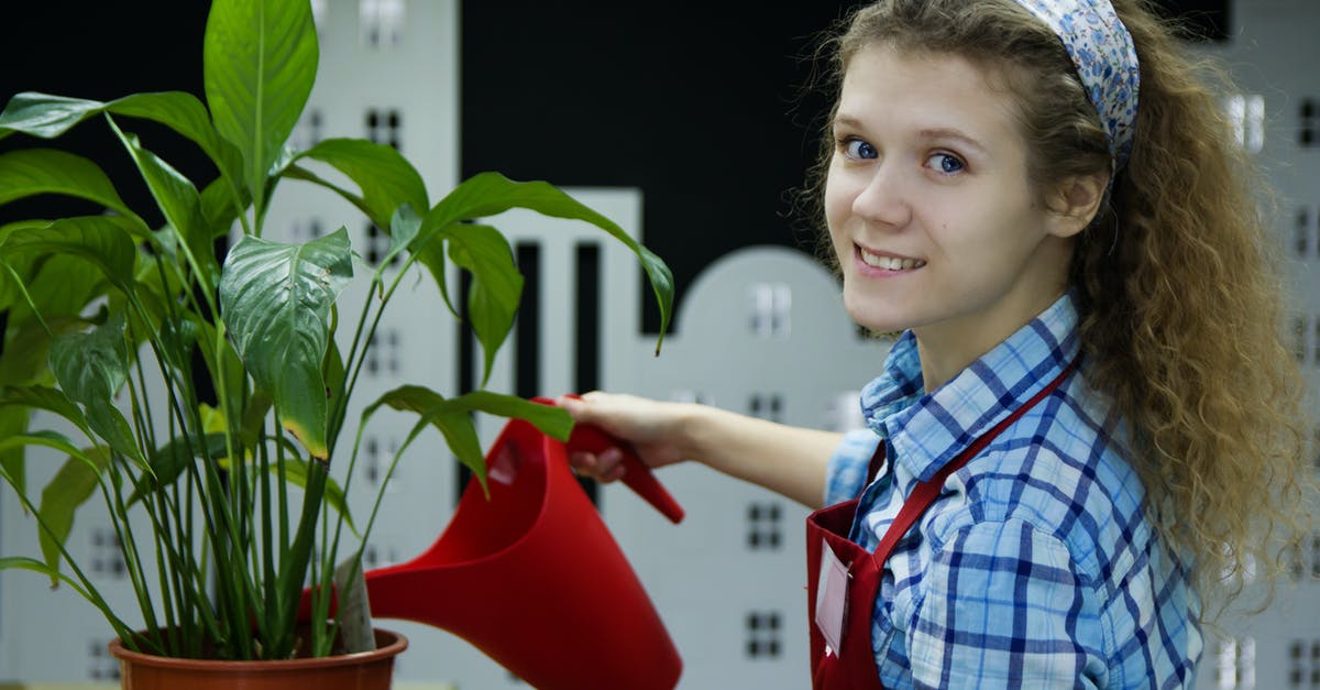 Where can I get Little Generals source code? - Woman Watering Plant