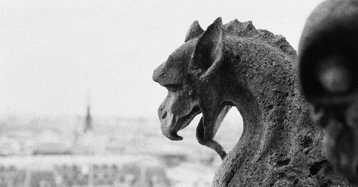 Where can you find the dragon of Eldin Volcano? - Grayscale Photo of Animal Statue