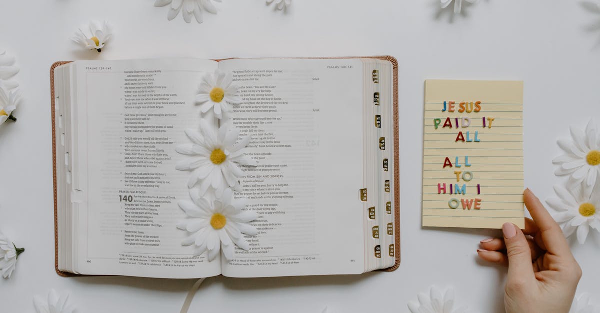 Where do I find all the artifacts? - White Daisy Flowers Beside White Printer Paper