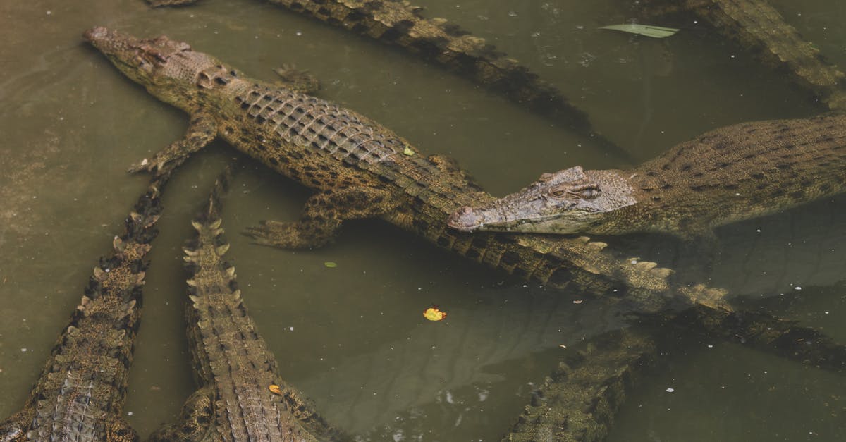 Where in Elite Dangerous are the Bookmarks stored? - Brown Crocodile on Green Water