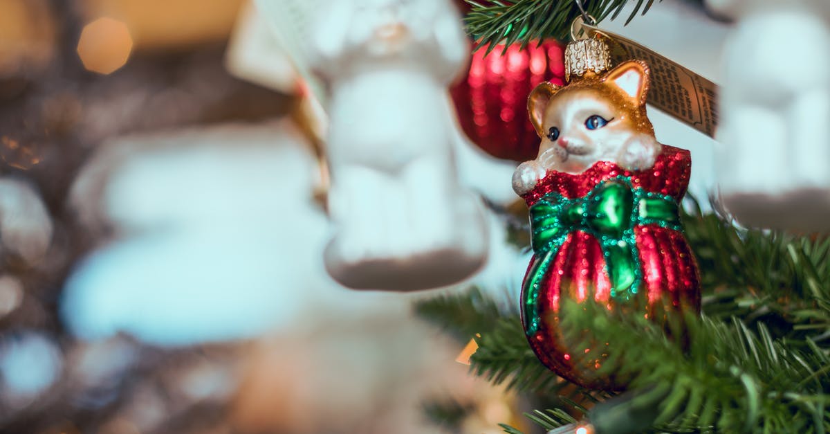 Where is the moving cat shine? - Selective Focus Photography of Brown Cat Christmas Bauble