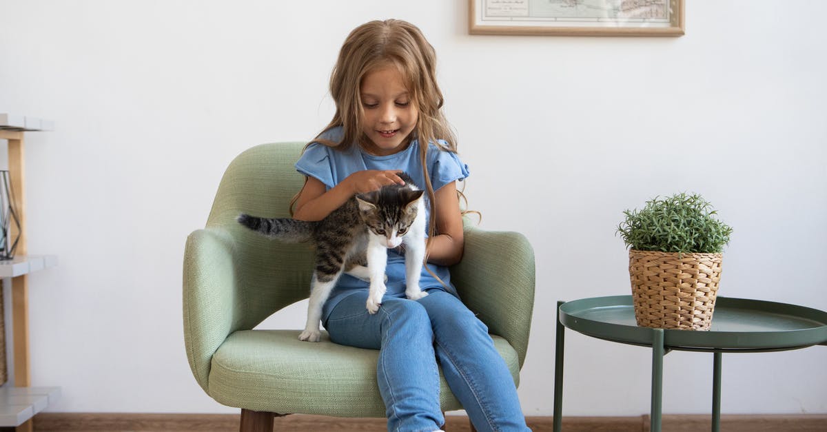 Where is the moving cat shine? - Little Girl Sitting in Armchair Holding Cat