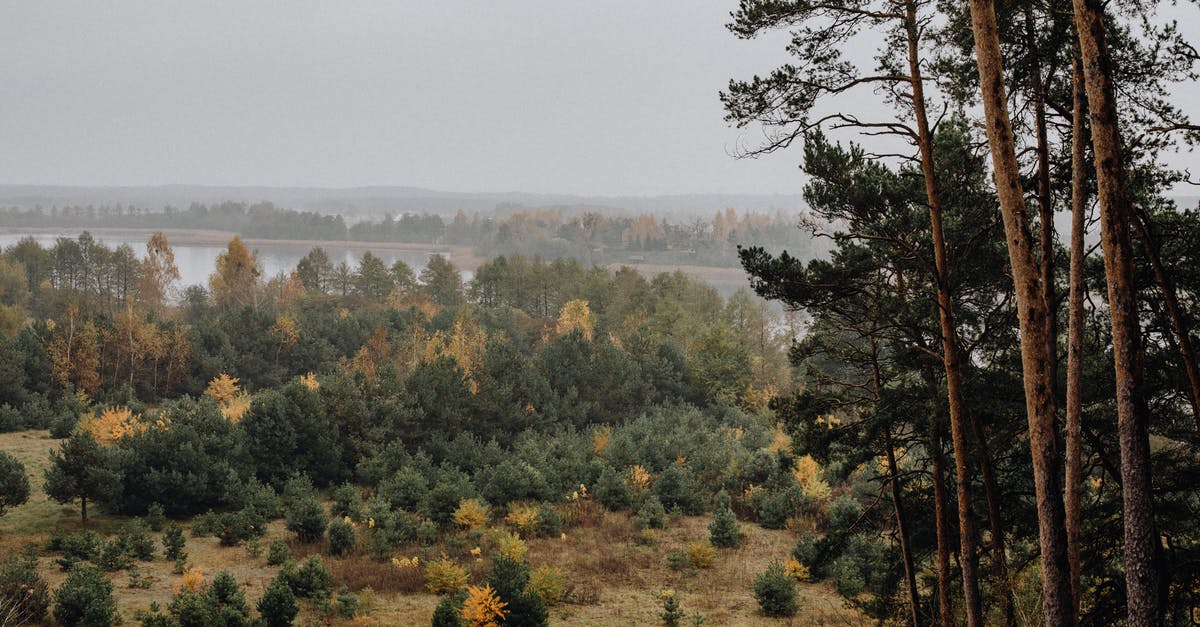 Which bank is the hardest to hack? - Misty Forest by River Bank