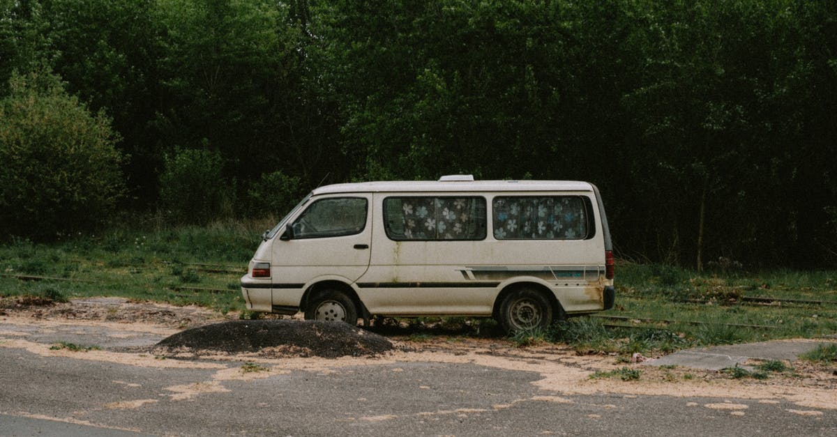 Which creatures are damaged by Cure spells? - White Van Parked on Dirt Road Near Green Trees