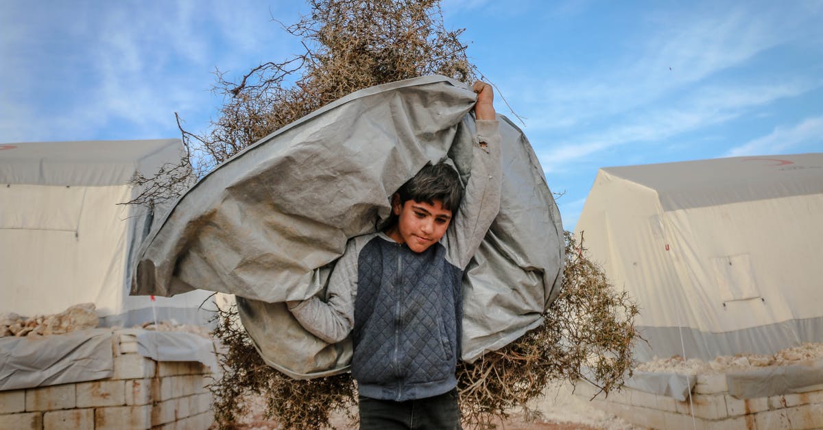 Which gods are suitable for the Hard Carry achievement? - Strong ethnic boy carrying dry plants