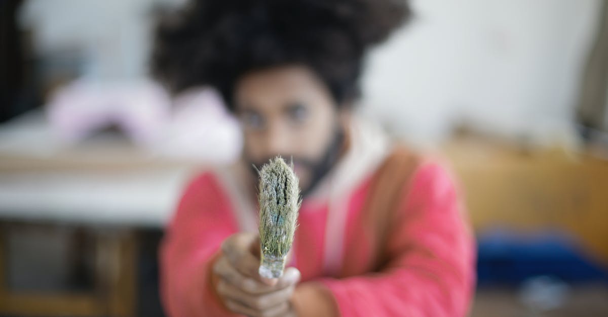 Which gun does the Double Duty talent affect? - Unrecognizable young bearded ethnic craftsman pointing with paintbrush at camera sitting at table in modern creative workshop