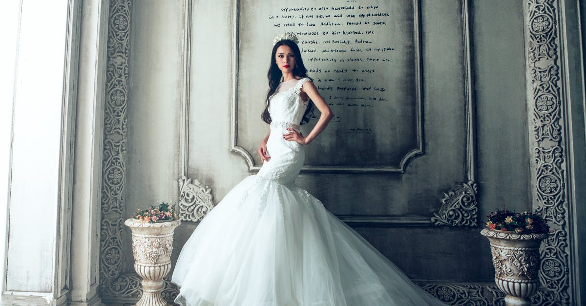 Which units does Foreign Princess affect? - Woman Wearing White Wedding Gown Standing Beside Gray-painted Wall