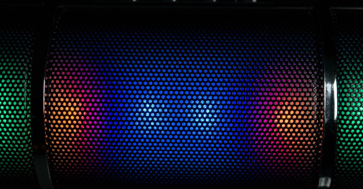 Why are there grids on every entity - Black Portable Speaker