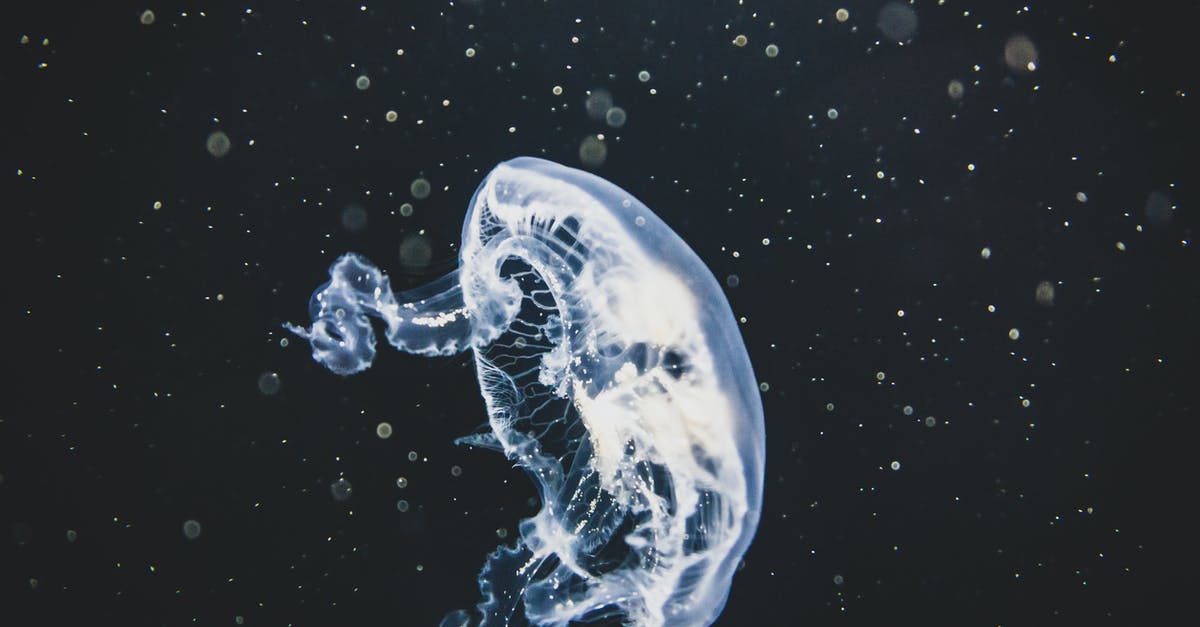 Why do torches light up underwater? - Closeup of Jellyfish