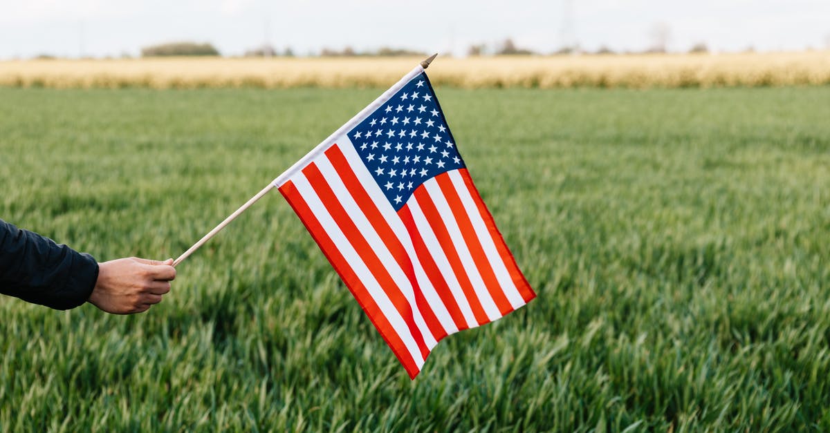 Why does +xp shows when upgrading unit? - Crop unrecognizable person holding colorful flag of America with stars and stripes on lush green lawn under cloudy sky in daylight