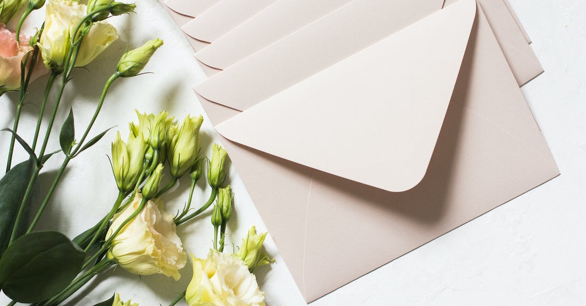 Why is my Minecraft server sending so many packets? - From above of rows of light beige envelopes by white and pink delicate roses on stems with dark green leaves in daylight