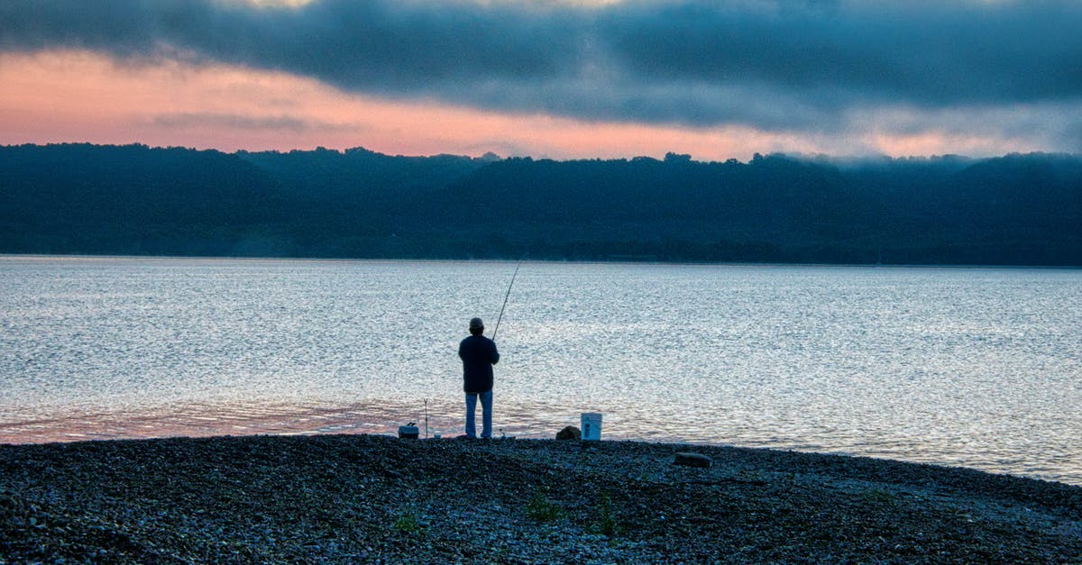 Why is my sword a fishing rod? - Person Standing on Dock Near Body of Water during Sunset