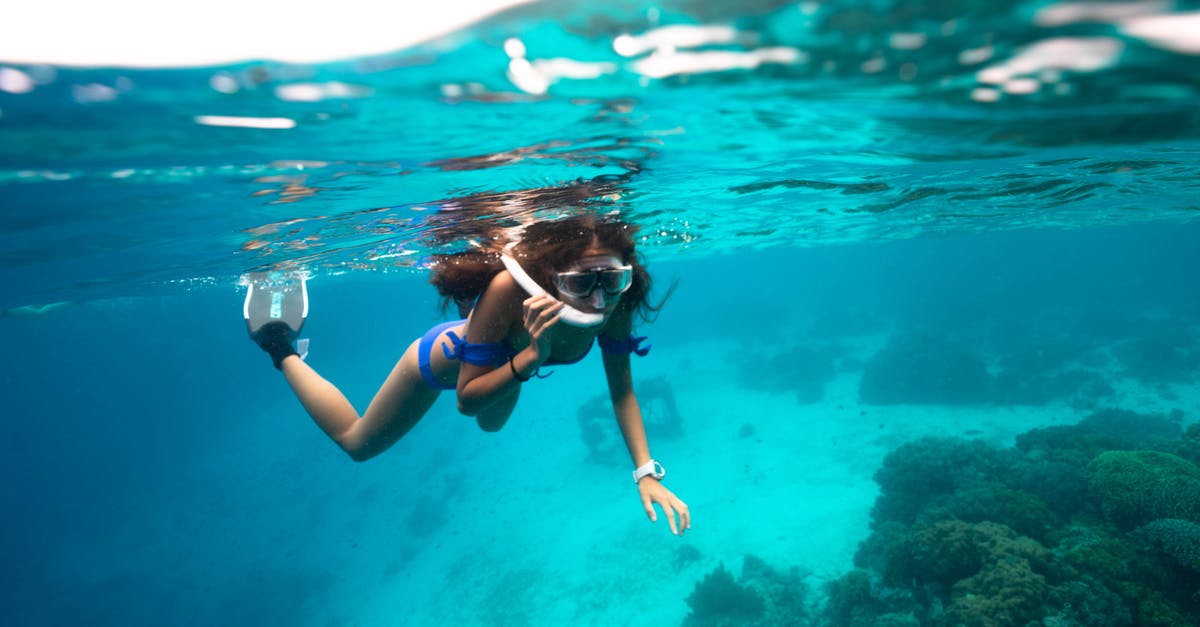 Why is the dive on Another Day missing? - Woman in swimwear and flippers with swimming goggles and snorkel swimming near sandy bottom underwater near corals and fish in light blue sea in daytime