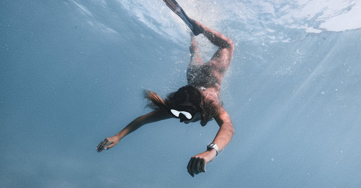 Why is the dive on Another Day missing? - Woman in Black and White Bikini Swimming in Blue Water