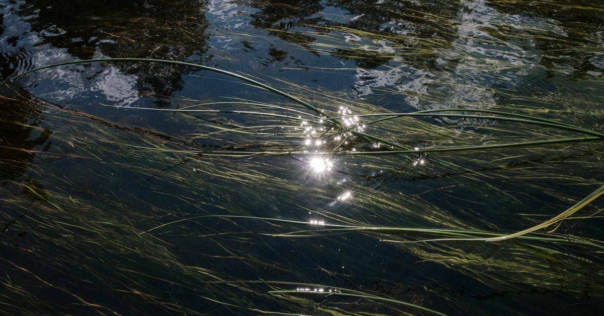 Why won't slime spawn in my slime chunk in the ocean? - Green Grass on Body of Water