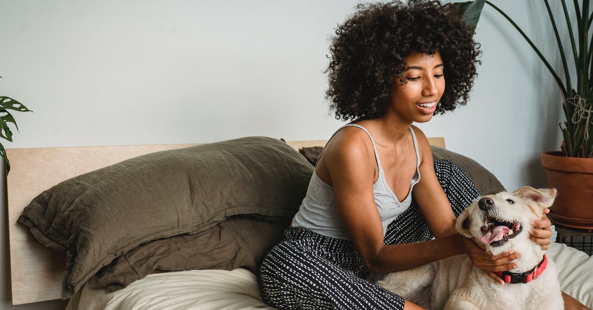 Why would I want to rub my friend's faces? - Smiling African American woman with curly hair resting on soft bed and stroking obedient dog in bedroom at home