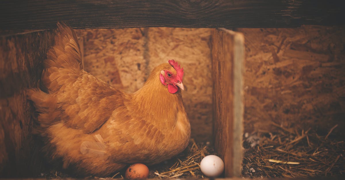 Will an egg-laying animal lay eggs in a forbidden nest? - Brown Hen Near White Egg on Nest