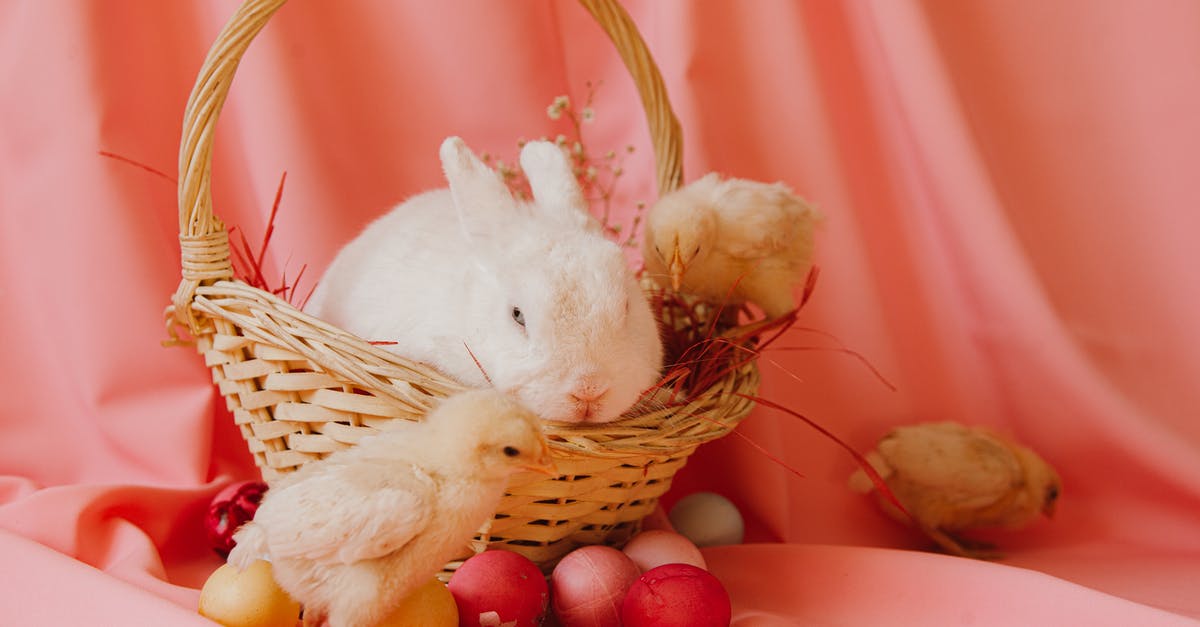 Will an egg-laying animal lay eggs in a forbidden nest? - White Rabbit on Brown Woven Basket