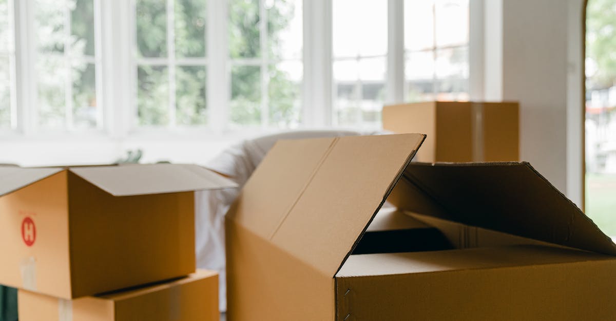 Will I lose my item if I try to trade the same thing with Snuggly the Crow twice? - Unpacked boxes in middle of room Will I lose my item if I try to trade the same thing with Snuggly the Crow twice? - Unpacked boxes in middle of room